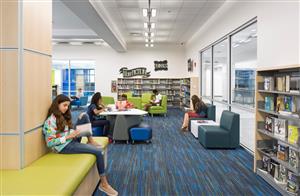 Student Reading in Library 